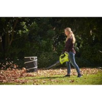 Воздуходувка Ryobi RY18BLXD-150 (5133005952) фото №8 — интернет-магазин Desire.md