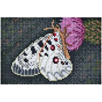 Mozaic Hama Buterfly 10000pcs (3605)
