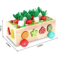 Sortator New World Fruit Car (JHTOY-556) imaginea #2 — magazin online Desire.md