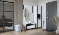 Шкаф Magnusplus Combo CO7 596x2000x421mm Graphite/White  фото №2 — интернет-магазин Desire.md