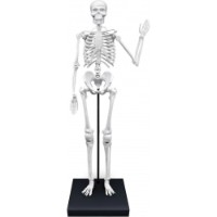 Set de cercetare pentru copii Buki BK2181