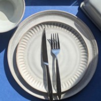 Набор сервировочных блюд Casa Masa Iberica 28cm 6pcs (AC111) фото №3 — интернет-магазин Desire.md