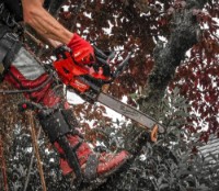 Ferăstrău cu lanţ cu acumulator Milwaukee M18 FTHCHS30-0 (4933479586) imaginea #4 — magazin online Desire.md