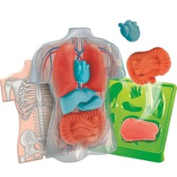 Set de cercetare pentru copii Clementoni Squishy Anatomy (75130) 