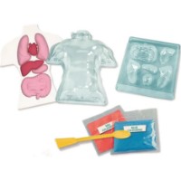 Set de cercetare pentru copii Clementoni Squishy Anatomy (75130)  imaginea #2 — magazin online Desire.md