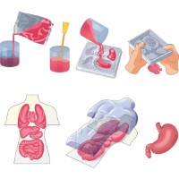 Set de cercetare pentru copii Clementoni Squishy Anatomy (75130)  imaginea #3 — magazin online Desire.md
