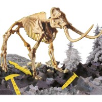 Set de cercetare pentru copii Lisciani Superkit Mammoth I'm A Genius (79964) imaginea #4 — magazin online Desire.md