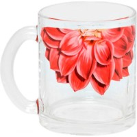 Набор кружек OSZ Gingasie 320ml 6pcs (04C1208 DZ G)