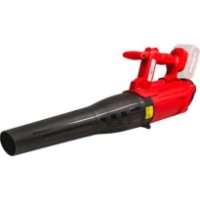 Suflantă de frunze Raider RDP-QBL20