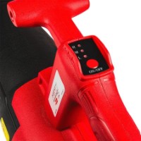 Suflantă de frunze Raider RDP-QBL20 imaginea #2 — magazin online Desire.md