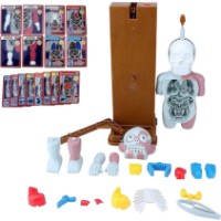 Set de cercetare pentru copii ChiToys Human Body Model (90829)