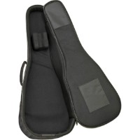 Husa pentru chitare Aria ABC-300 EB BK  imaginea #2 — magazin online Desire.md
