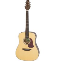 Chitară acustică Aria AD-10 N