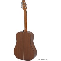 Chitară acustică Aria AD-10 N imaginea #2 — magazin online Desire.md