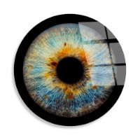 Pictură Wallity UV-1138 60cm imaginea #4 — magazin online Desire.md