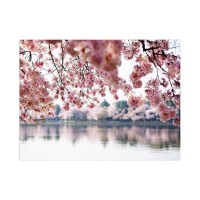 Pictură Wallity 102307675_70100 70x100cm imaginea #3 — magazin online Desire.md