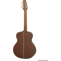 Chitară acustică Aria AF-10 mini MTN  imaginea #2 — magazin online Desire.md