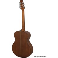 Chitară acustică Aria AF-10 MTTS imaginea #2 — magazin online Desire.md