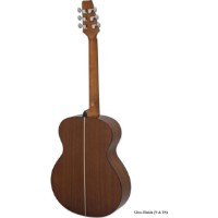Chitară acustică Aria AF-10 TS imaginea #2 — magazin online Desire.md