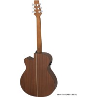 Chitară electro-acustică Aria AF-10CE MTN imaginea #2 — magazin online Desire.md