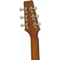 Chitară electro-acustică Aria FET-R1 AQMR imaginea #2 — magazin online Desire.md