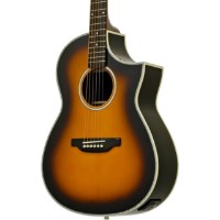 Chitară electro-acustică Aria MSG-02CE BS imaginea #2 — magazin online Desire.md