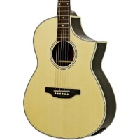 Chitară electro-acustică Aria MSG-02CE N imaginea #3 — magazin online Desire.md