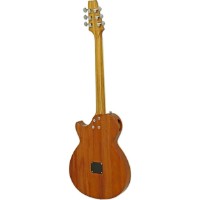 Chitară electro-acustică Aria Pro II APE-100 TS  imaginea #2 — magazin online Desire.md
