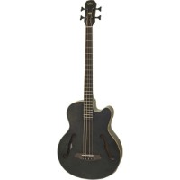 Chitară bas  Aria Pro II FEB-F2M STBK