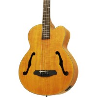 Chitară bas  Aria Pro II FEB-F2M STBR imaginea #2 — magazin online Desire.md