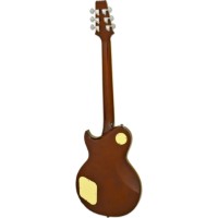 Chitara electrica Aria Pro II PE-590 STD AGTS imaginea #2 — magazin online Desire.md