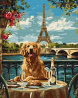 Картина по номерам Ideyka A Retriever In Paris 40x50cm (KHO6627) 