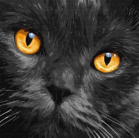 Картина по номерам Ideyka Amber Eyes 40x40cm (KHO4391)