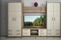 Гостиная Bafimob Nadejda 2 TV-1.5m 3.20m фото №4 — интернет-магазин Desire.md