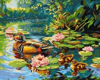 Tablou pe numere Ideyka Duck Family 40x50cm (KHO6656) 