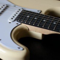 Chitara electrica Pearl River GST10 IV imaginea #3 — magazin online Desire.md