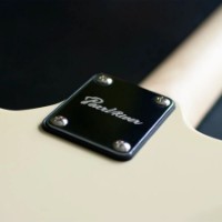 Chitara electrica Pearl River GST10 IV imaginea #5 — magazin online Desire.md
