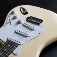 Chitara electrica Pearl River GST10 IV imaginea #10 — magazin online Desire.md
