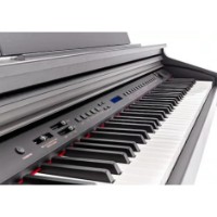 Pian digital Hemingway DP-501 MKII RW ROSEWOOD imaginea #6 — magazin online Desire.md