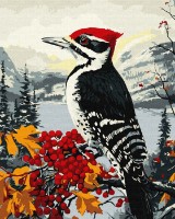 Tablou pe numere Ideyka Woodpecker On A Branch 40x50cm (KHO6777) 