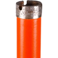 Carota Distar 10170085249