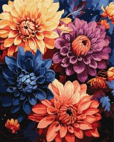 Tablou pe numere Ideyka Dalii colorate 40x50cm (KHO3248)