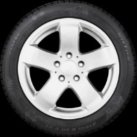 Шина Viking WinTech 225/50 R17 98V фото №3 — интернет-магазин Desire.md