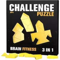 Головоломка IQ Puzzle Challenging №4 (0357)