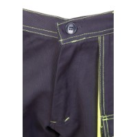 Pantaloni de lucru Brixton PLSTASSPNG58 imaginea #4 — magazin online Desire.md