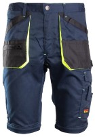 Pantaloni de lucru Brixton PLSTAPSZN58 imaginea #2 — magazin online Desire.md