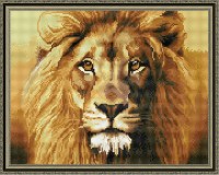 Mozaic cu diamante Diamond King of the Savannah 40x50cm (YW00924)