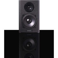 Difuzor Kurzweil KS-40A 2pcs imaginea #3 — magazin online Desire.md