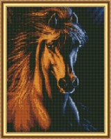 Mozaic cu diamante Diamond Night Horse 40x50cm (YW00415)