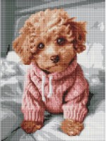 Алмазная мозаика Ideyka An Adorable Maltipoo 30x40cm (AMO8138) 